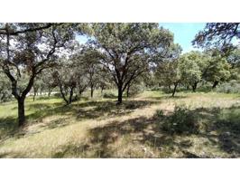 Terreno en venta en La Raya del Palancar-Guadamonte photo 0