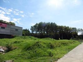 Exterior del edificio con césped. Jardín con césped