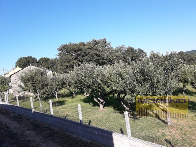 Terreno Urbanizable En venta en O Corgo photo 0