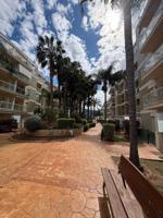 VENTA APARTAMENTO PLANTA BAJA photo 0