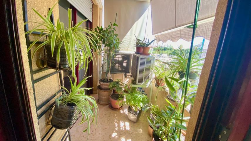 Apartamento Miguel Hernández, Puerto photo 0