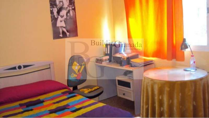 PLAZA DE TOROS - 3 HABITACIONES LIBRES photo 0