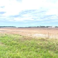 PARCELA JUNTO A LAS DUNAS... photo 0