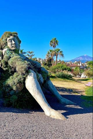 SE TRASPASA RESTAURANTE SANTA URSULA photo 0