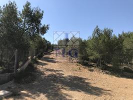 Terreno Urbanizable En venta en El Esparragal, Murcia photo 0