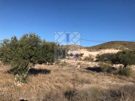 Terreno Urbanizable En venta en San Miguel, Molina De Segura photo 0