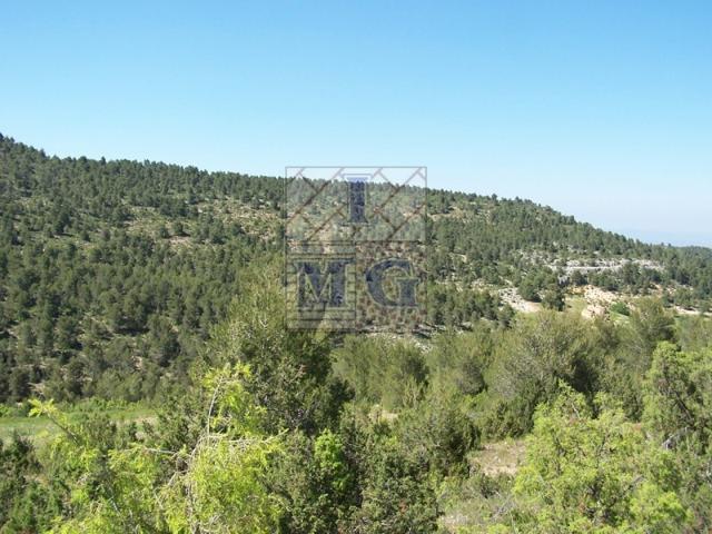 Otro En venta en Cieza photo 0