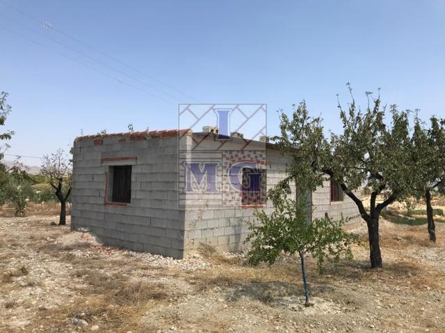 Terreno Urbanizable En venta en Fortuna photo 0