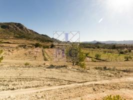 Terreno Urbanizable En venta en Abanilla photo 0