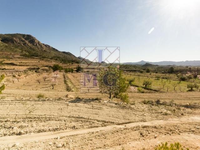 Terreno Urbanizable En venta en Abanilla photo 0