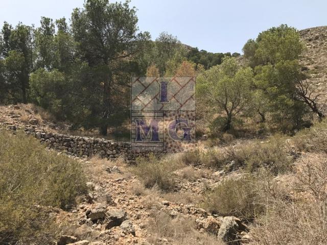 Terreno Urbanizable En venta en Orihuela photo 0