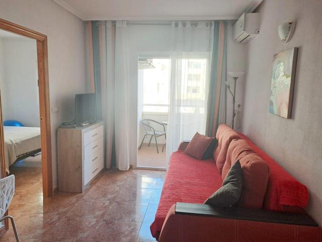 Apartamento de una habitación en la ciudad de Torrevieja photo 0