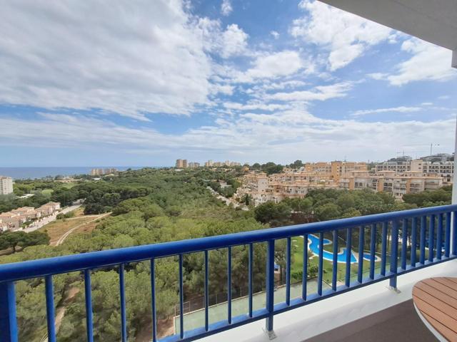 Apartamento bien cuidado en Campoamor photo 0