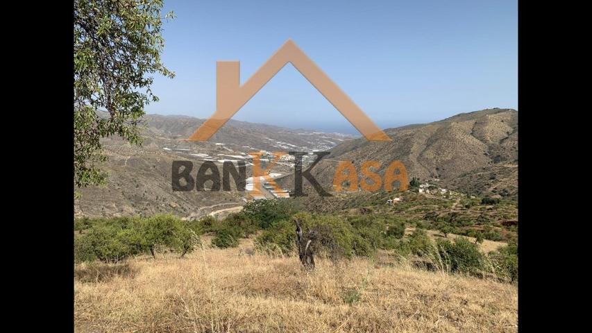 SE VENDEN 3 HÉCTAREAS DE TERRENO EN SORVILÁN -GRANADA- photo 0