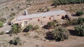 FINCA RUSTICA DE 30000 m² EN FIÑANA photo 0