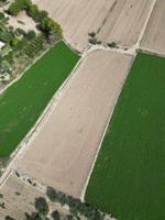 TERRENO RÚSTICO CON MÁS DE 4.000M2 EN CALLOSA DE SEGURA (CARRETERA CATRAL) photo 0