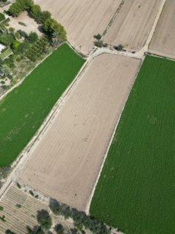 TERRENO RÚSTICO CON MÁS DE 4.000M2 EN CALLOSA DE SEGURA (CARRETERA CATRAL) photo 0