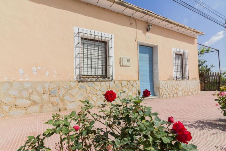 CASA EN PLANTA BAJA CON AMPLIO TERRENO EN CALLOSA DE SEGURA. photo 0