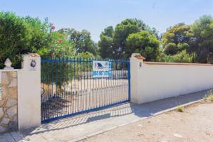 PARCELA URBANA DE MÁS DE 500M2 EN LA ZENIA (ORIHUELA COSTA). photo 0