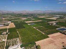 Oportunidad Inversión: Parcelas Rurales en Orihuela photo 0