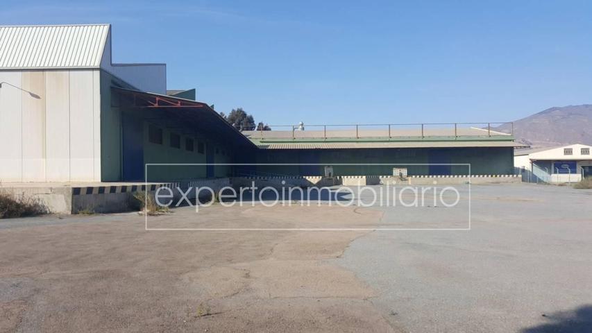 Otro En venta en Calle Ceuta, 0, Benahadux photo 0