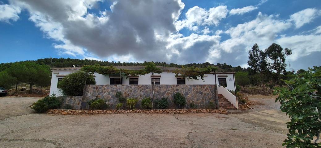 Terreno Urbanizable En venta en Calle Real, Alcolea photo 0