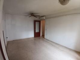 Una oportunidad unica photo 0