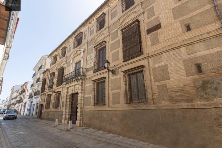 CASA PALACIO DE LOS MARQUESES DE ESCALONIA EN ANTEQUERA photo 0