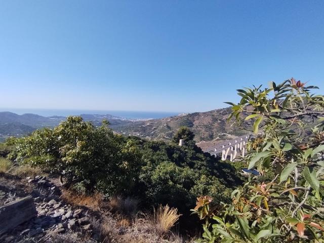 Finca rustica en Almuñecar photo 0