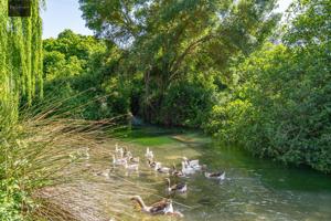¿Sueñas con vivir en plena naturaleza, rodeado de tranquilidad y belleza? photo 0