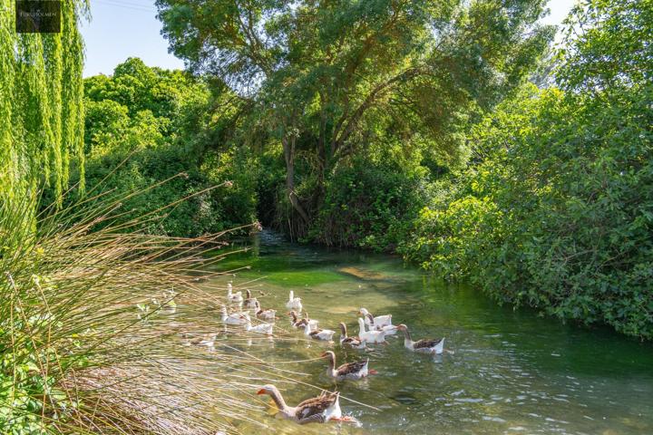 ¿Sueñas con vivir en plena naturaleza, rodeado de tranquilidad y belleza? photo 0