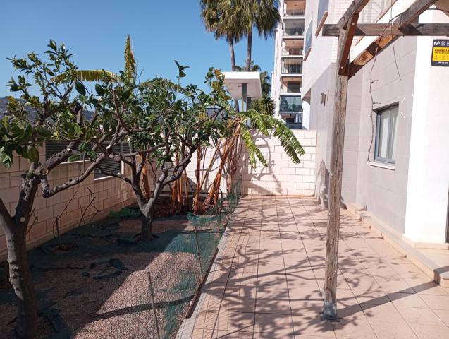 Planta baja de 3 habitaciones en Magic World photo 0