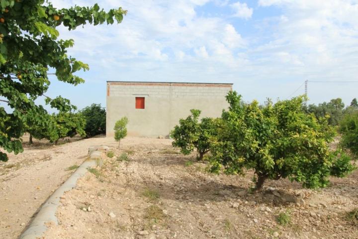 Finca de cultivo en venta, en Crevillente (Alicante) photo 0