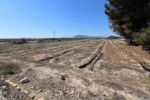 Finca de cultivo en venta en Crevillente (Alicante) photo 0