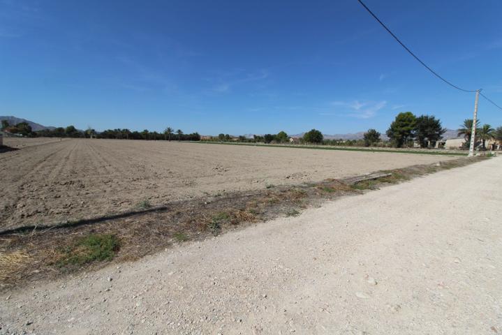 Parcela rústica en venta en Crevillente (Alicante) photo 0