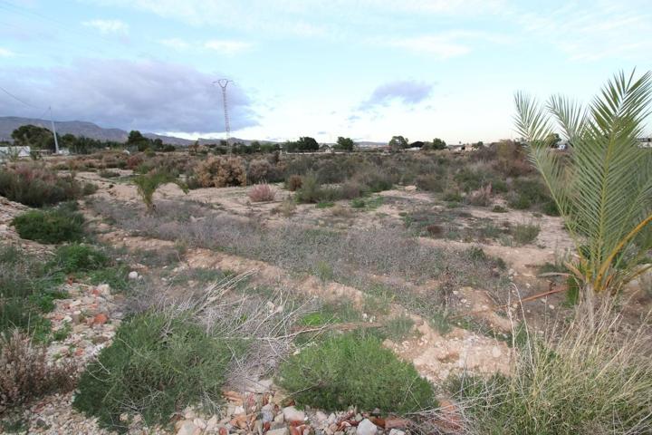 Finca rústica en venta en Crevillente (Alicante) photo 0