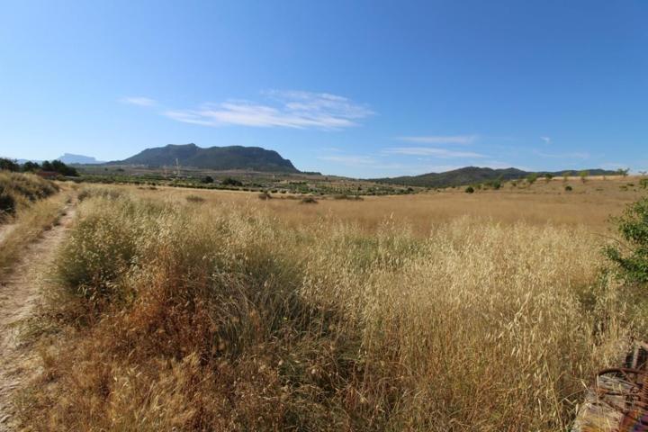 Finca rustica en venta, en Salinas (Alicante) photo 0