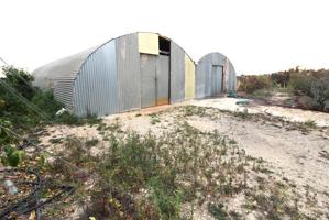 Finca de cultivo en venta en Crevillente (Alicante) photo 0
