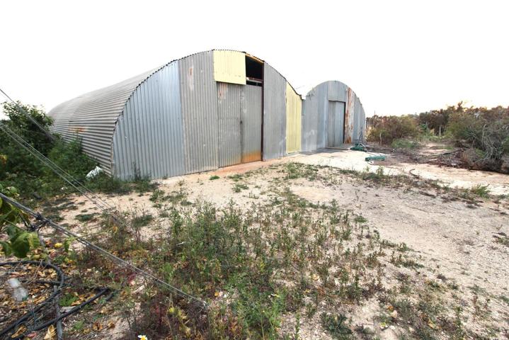 Finca de cultivo en venta en Crevillente (Alicante) photo 0