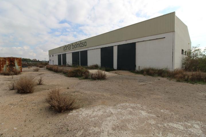 Nave agrícola en venta en Crevillente (Alicante) photo 0