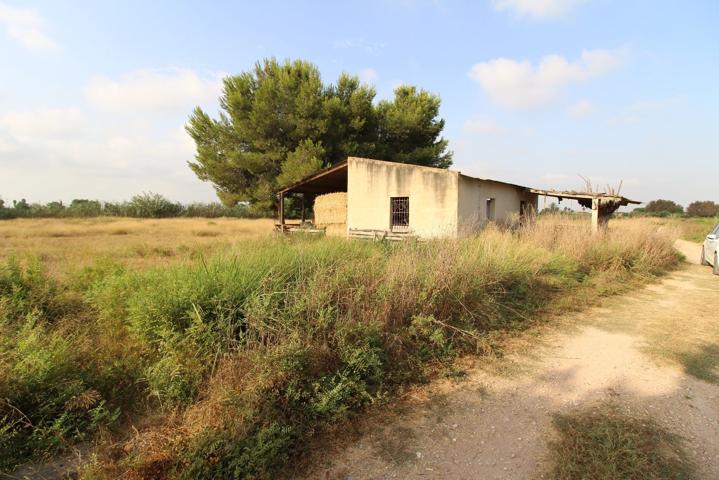 Finca rústica en venta en Catral (Alicante) photo 0