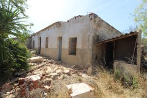 Finca de cultivo en venta en Crevillente (Alicante) photo 0