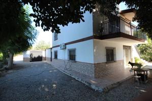 Casa de campo en venta en Crevillente (Alicante) photo 0