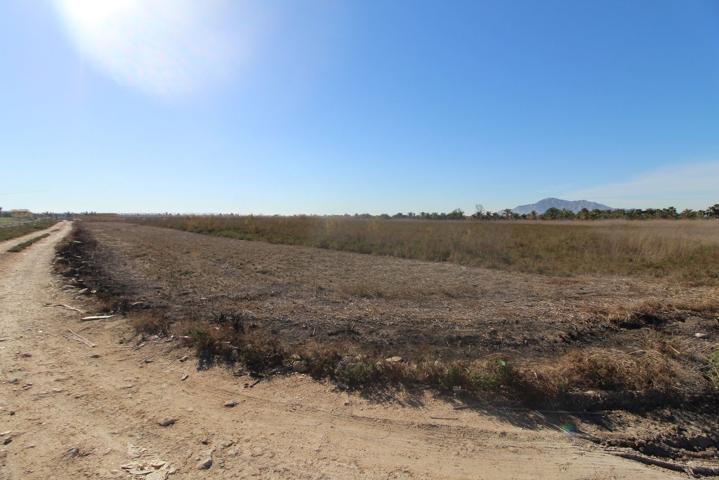 Finca de cultivo en venta en San Isidro (Alicante) photo 0