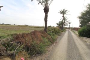 Finca Rústica en Elche-Elx photo 0