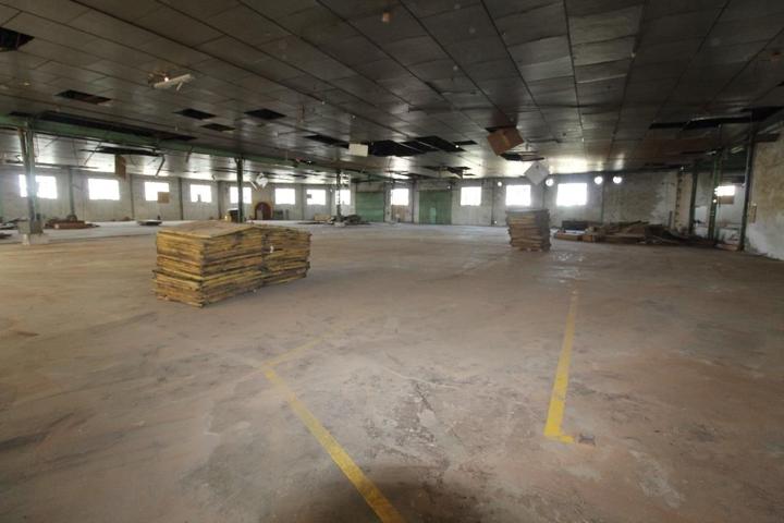 Nave en venta y alquiler en Crevillente (Alicante) photo 0