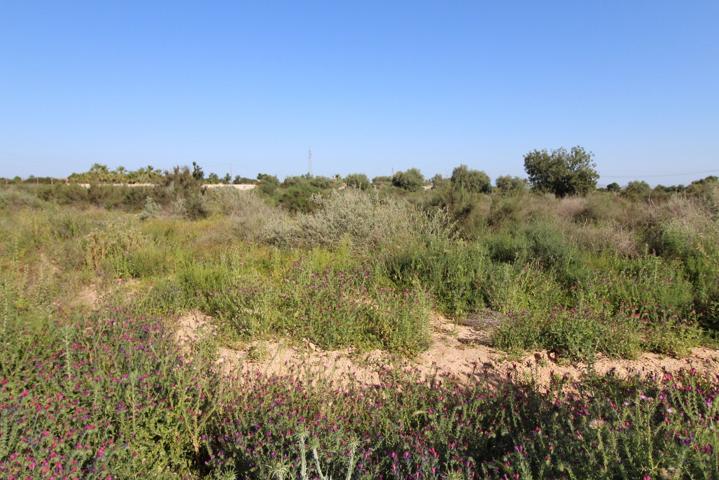 Finca rústica en venta en Crevillente (Alicante) photo 0