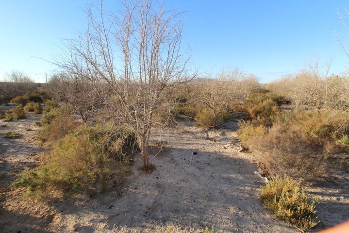 Finca de cultivo en venta en Crevillente (Alicante) photo 0