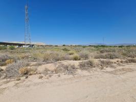 Finca rústica en venta en Alicante (Alicante) photo 0