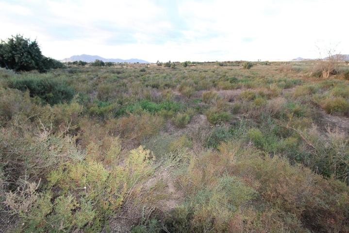 Finca de cultivo en venta en Crevillente (Alicante) photo 0